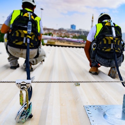 Harness and Lifeline